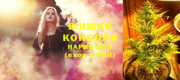 гашик Белокуриха
