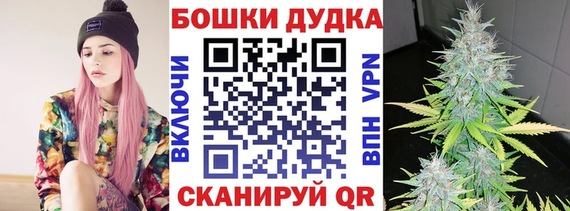 Каннабис планчик  Рудня 